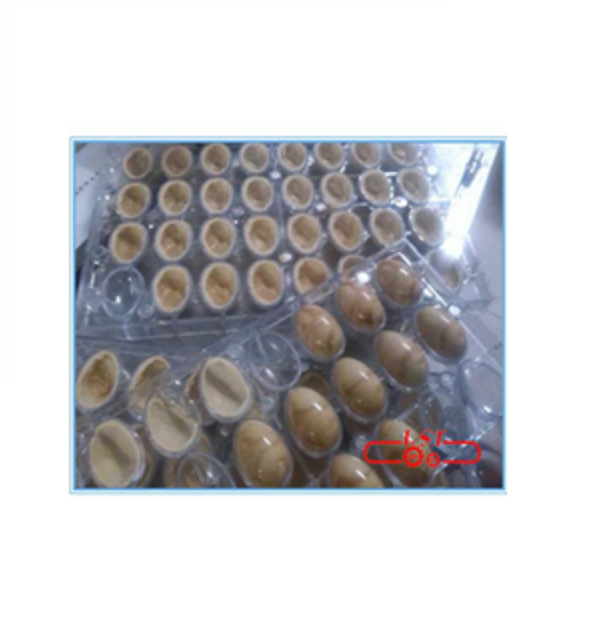 Automatic hollow chocolate apples peaches moulding machine chocolate spinning machine