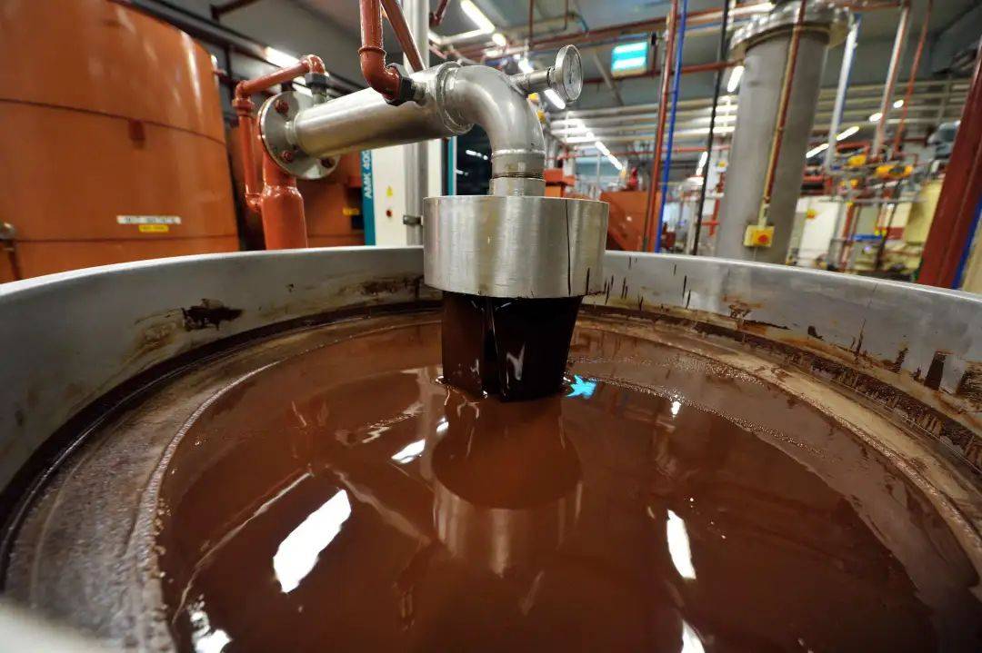 Leading a New Era in Chocolate Manufacturing: LST’s Innovation and Total Solutions