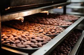 LST Machine: A Leader in the Evolving Chocolate Machinery Industry