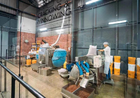Complete Bean-to-Bar Factory Under $200K: LST Unveils Turnkey Lines Revolutionizing Craft Chocolate in 2025
